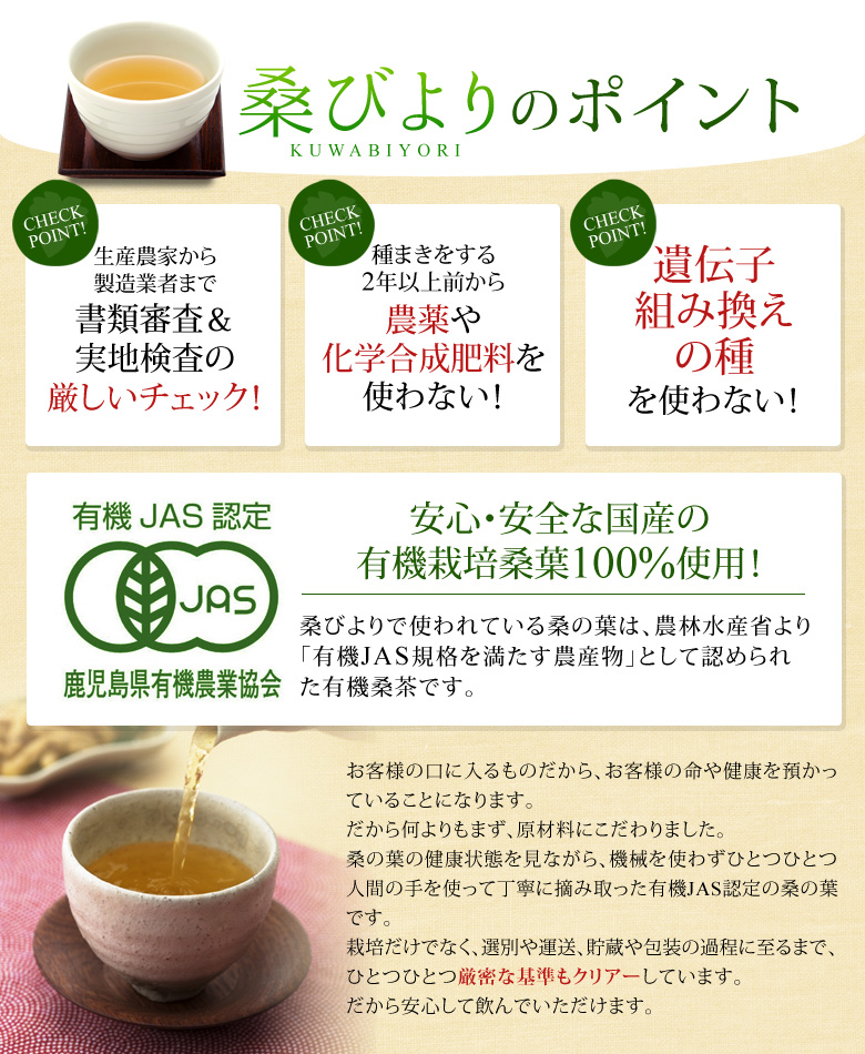 桑びよりのポイント