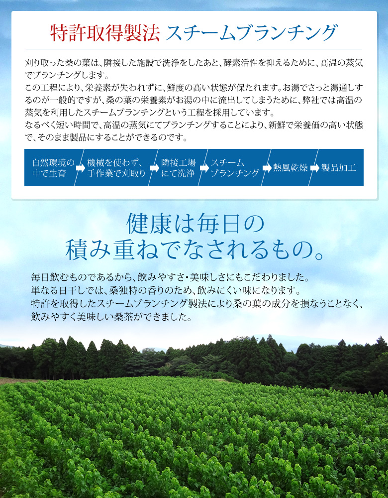特許取得製法 スチームブランチング