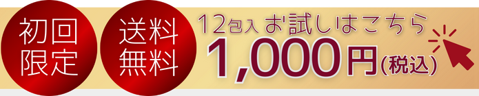 お試し価格1,000円