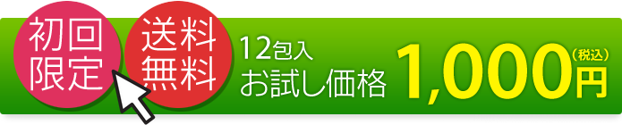 お試し価格1,000円