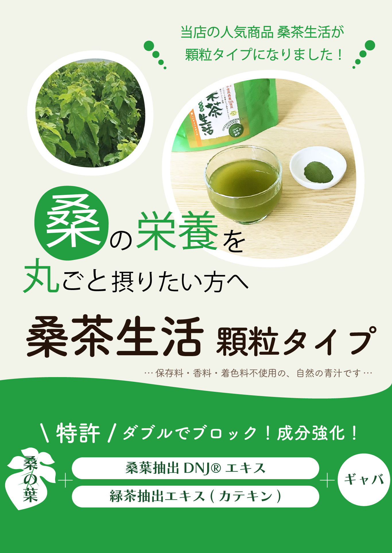 農薬不使用 自然農法 リクガメ 桑の葉 季節の野菜野草の詰め合わせ 1