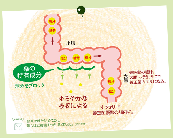グラフ