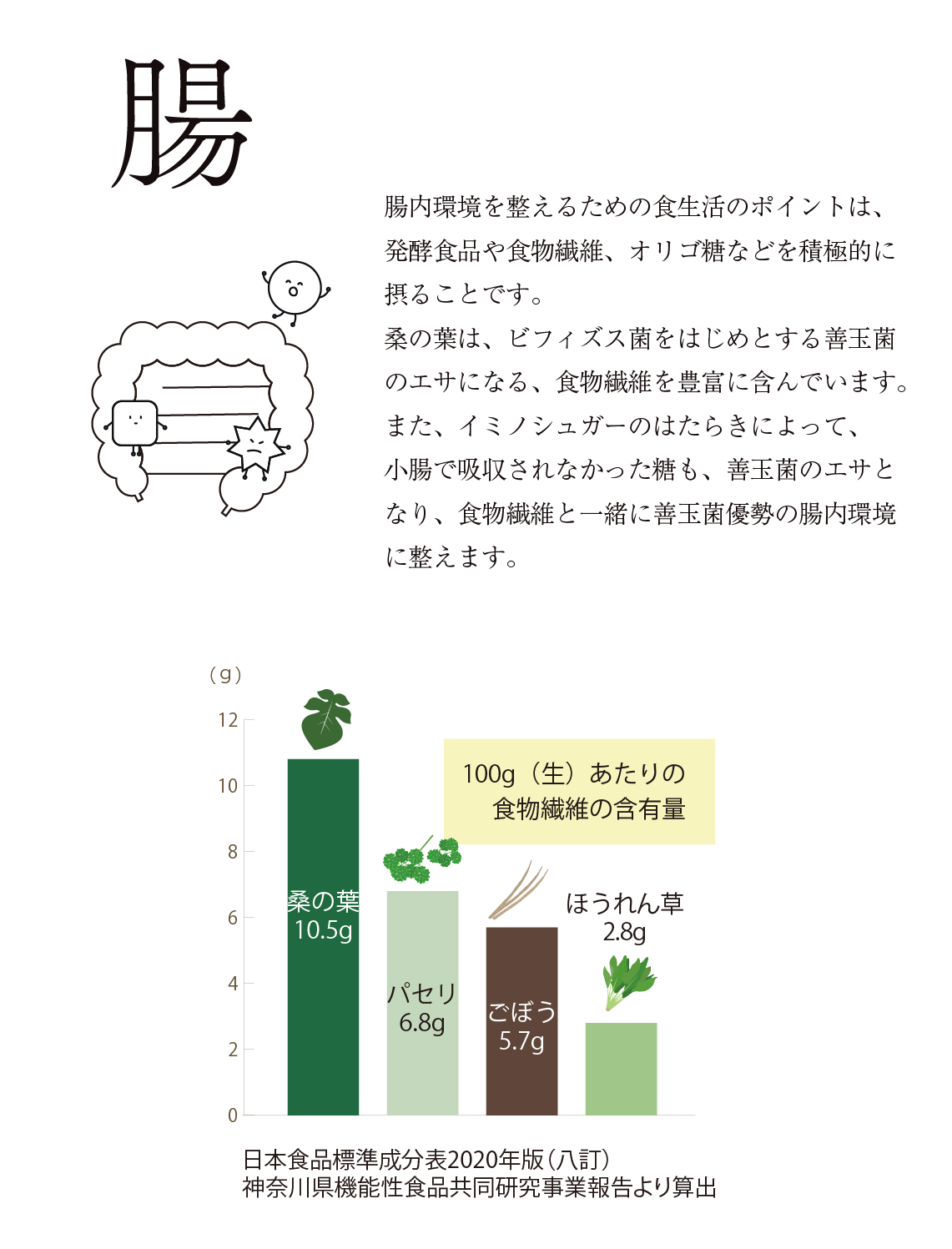 桑の葉と腸の関係