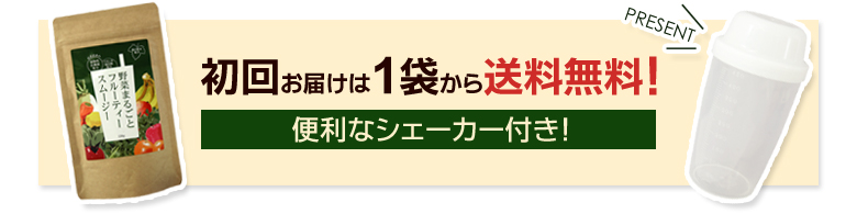 お得なシェーカーつき