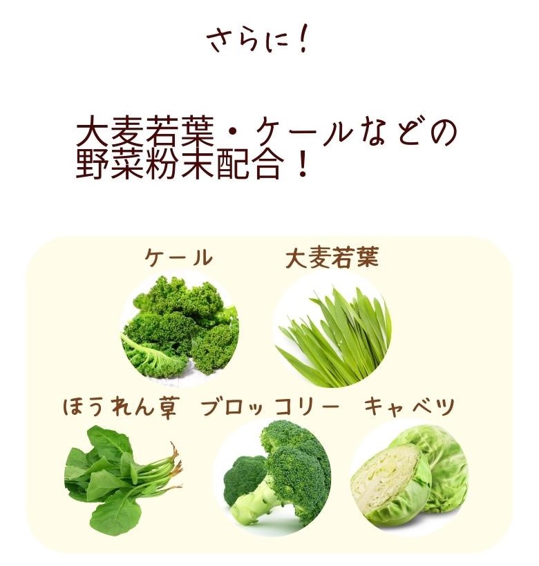 大麦若葉・ケール・ほうれん草などの野菜粉末配合