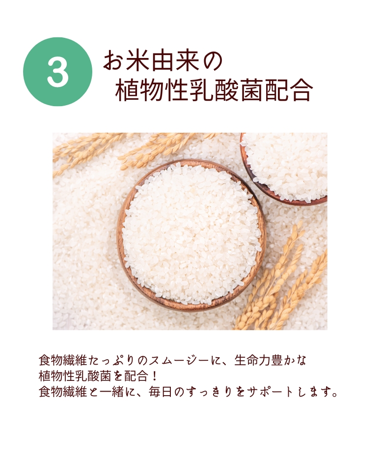 お米由来の植物性乳酸菌配合