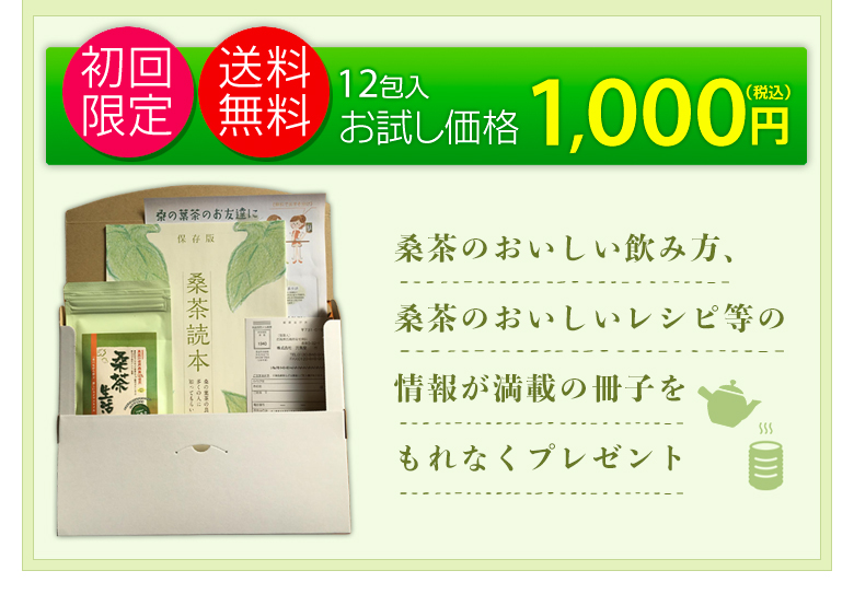 お試し価格1,000円