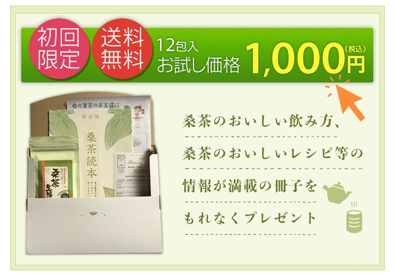 お試し価格1,000円